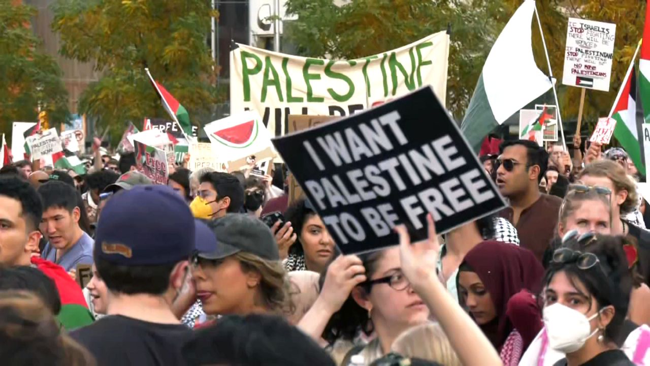 Pro-Palestinian Demonstrators March Through Brooklyn